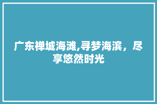 广东禅城海滩,寻梦海滨，尽享悠然时光