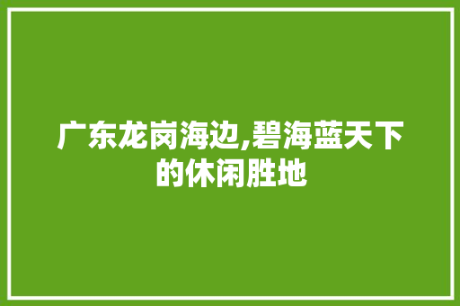 广东龙岗海边,碧海蓝天下的休闲胜地