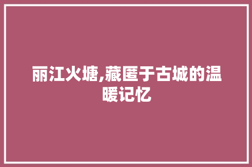 丽江火塘,藏匿于古城的温暖记忆