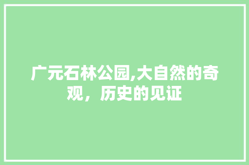 广元石林公园,大自然的奇观，历史的见证