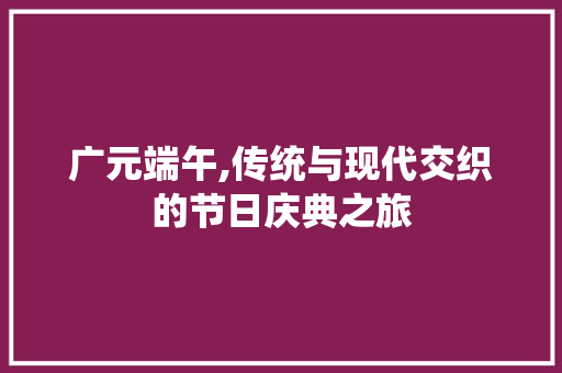 广元端午,传统与现代交织的节日庆典之旅