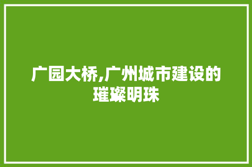 广园大桥,广州城市建设的璀璨明珠