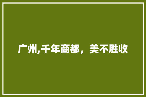 广州,千年商都，美不胜收