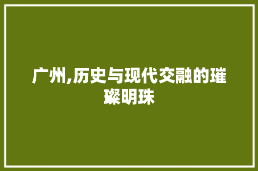 广州,历史与现代交融的璀璨明珠