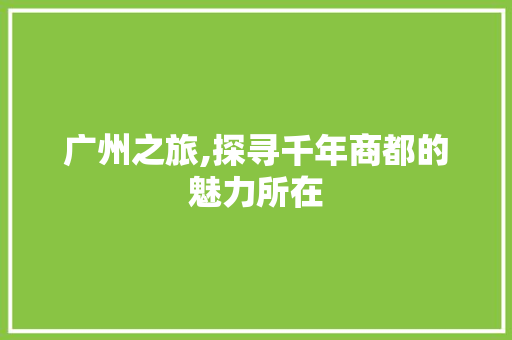 广州之旅,探寻千年商都的魅力所在