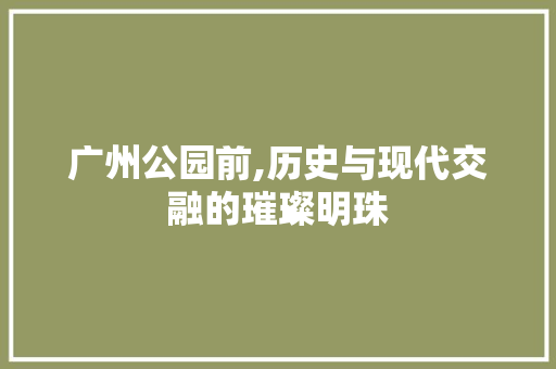 广州公园前,历史与现代交融的璀璨明珠