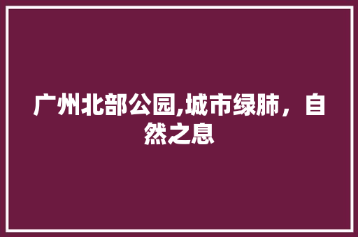 广州北部公园,城市绿肺，自然之息