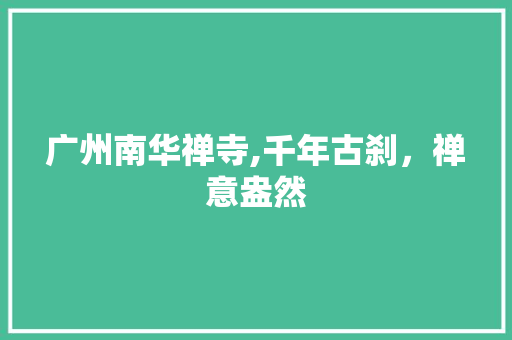 广州南华禅寺,千年古刹，禅意盎然