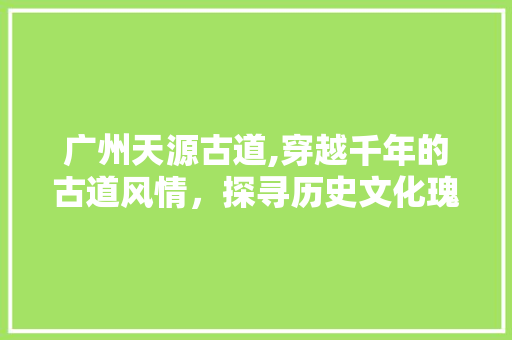 广州天源古道,穿越千年的古道风情，探寻历史文化瑰宝