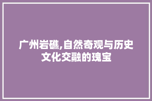 广州岩礁,自然奇观与历史文化交融的瑰宝