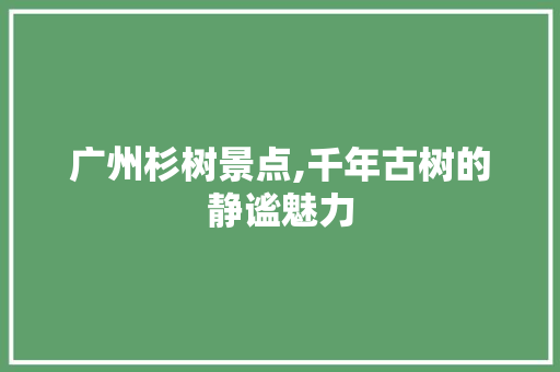 广州杉树景点,千年古树的静谧魅力