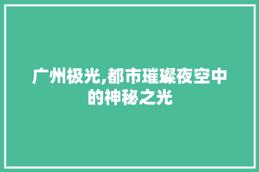 广州极光,都市璀璨夜空中的神秘之光