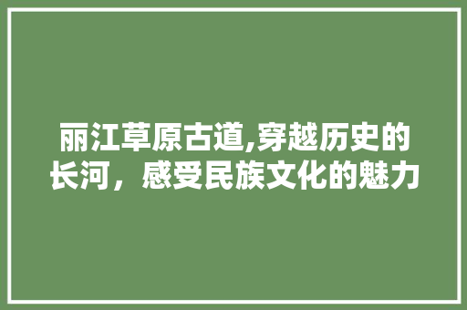 丽江草原古道,穿越历史的长河，感受民族文化的魅力  第1张