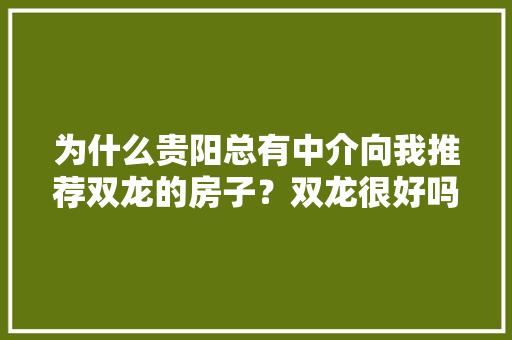 为什么贵阳总有中介向我推荐双龙的房子？双龙很好吗，龙里旅游投资集团招聘。