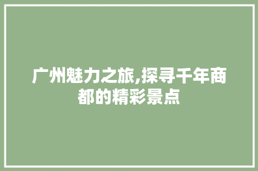 广州魅力之旅,探寻千年商都的精彩景点