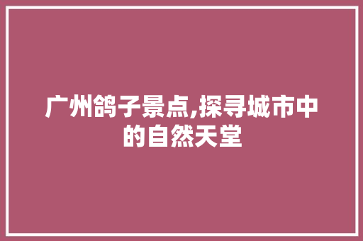 广州鸽子景点,探寻城市中的自然天堂