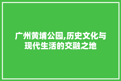 广州黄埔公园,历史文化与现代生活的交融之地