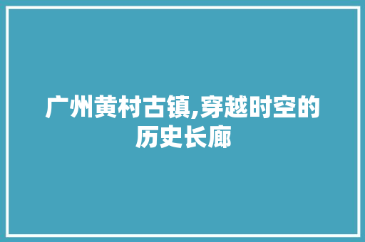 广州黄村古镇,穿越时空的历史长廊