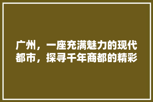 广州，一座充满魅力的现代都市，探寻千年商都的精彩之旅