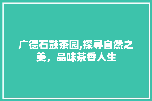 广德石鼓茶园,探寻自然之美，品味茶香人生