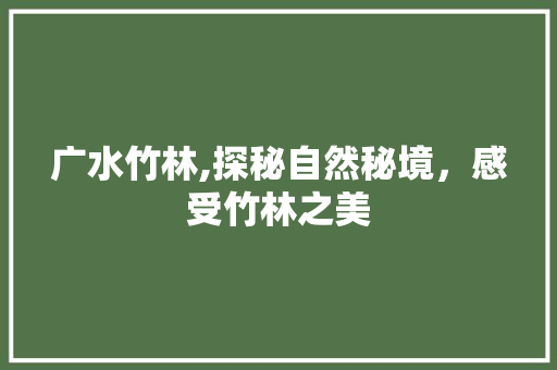 广水竹林,探秘自然秘境，感受竹林之美