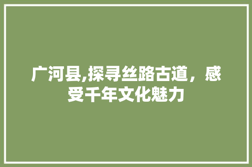 广河县,探寻丝路古道，感受千年文化魅力