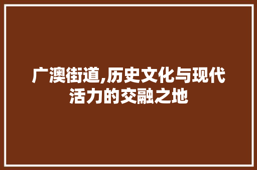 广澳街道,历史文化与现代活力的交融之地