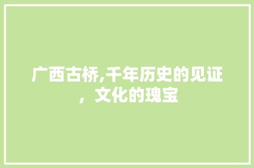 广西古桥,千年历史的见证，文化的瑰宝