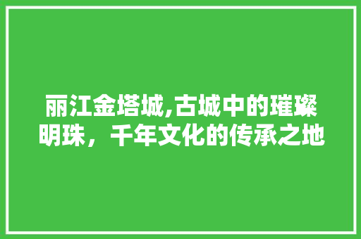 丽江金塔城,古城中的璀璨明珠，千年文化的传承之地