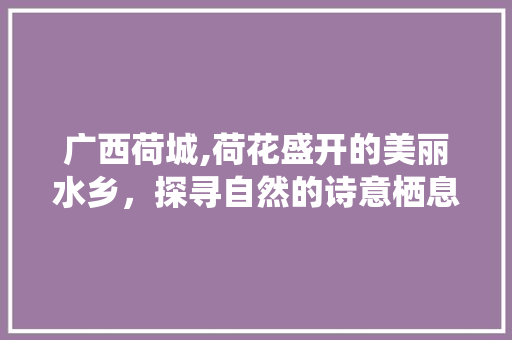 广西荷城,荷花盛开的美丽水乡，探寻自然的诗意栖息地