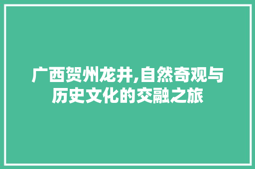 广西贺州龙井,自然奇观与历史文化的交融之旅