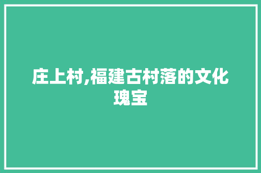 庄上村,福建古村落的文化瑰宝