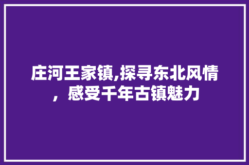 庄河王家镇,探寻东北风情，感受千年古镇魅力