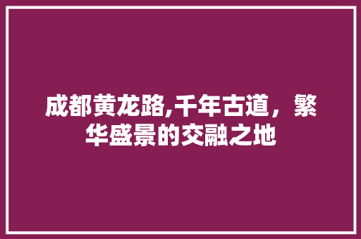 成都黄龙路,千年古道，繁华盛景的交融之地