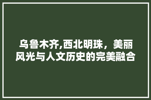 乌鲁木齐,西北明珠，美丽风光与人文历史的完美融合  第1张