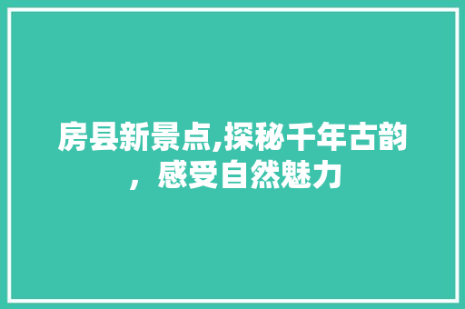 房县新景点,探秘千年古韵，感受自然魅力