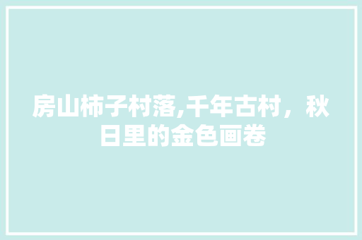 房山柿子村落,千年古村，秋日里的金色画卷