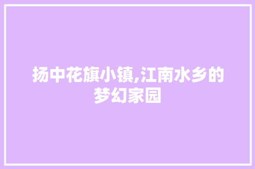 扬中花旗小镇,江南水乡的梦幻家园