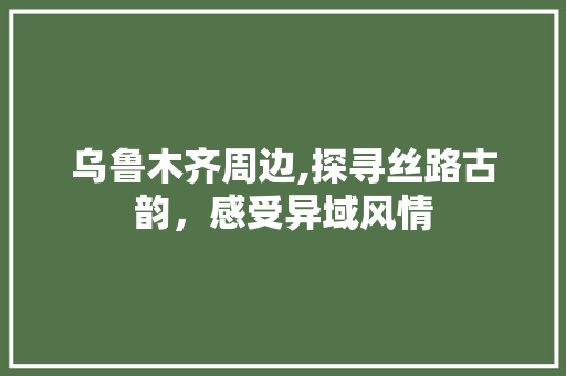 乌鲁木齐周边,探寻丝路古韵，感受异域风情  第1张