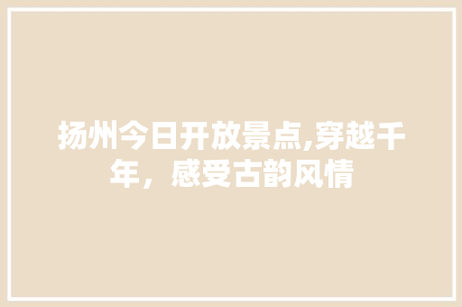 扬州今日开放景点,穿越千年，感受古韵风情