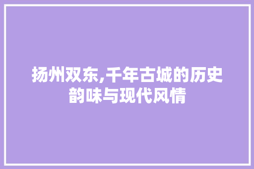 扬州双东,千年古城的历史韵味与现代风情