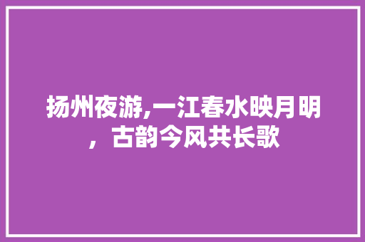 扬州夜游,一江春水映月明，古韵今风共长歌  第1张