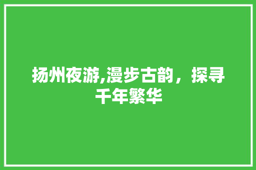 扬州夜游,漫步古韵，探寻千年繁华