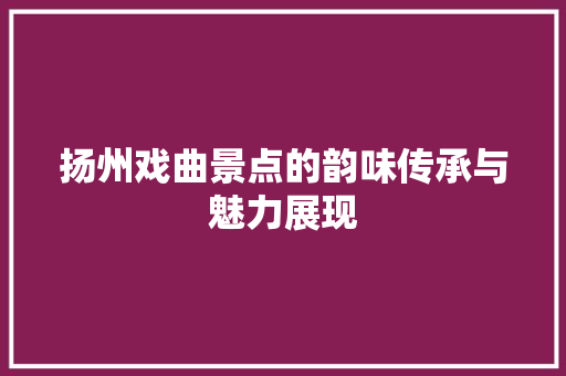 扬州戏曲景点的韵味传承与魅力展现