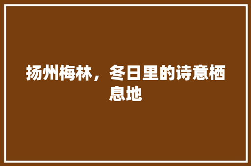 扬州梅林，冬日里的诗意栖息地