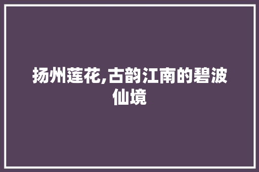 扬州莲花,古韵江南的碧波仙境