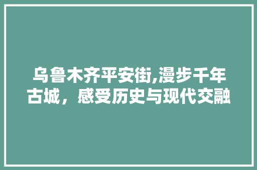 乌鲁木齐平安街,漫步千年古城，感受历史与现代交融的魅力