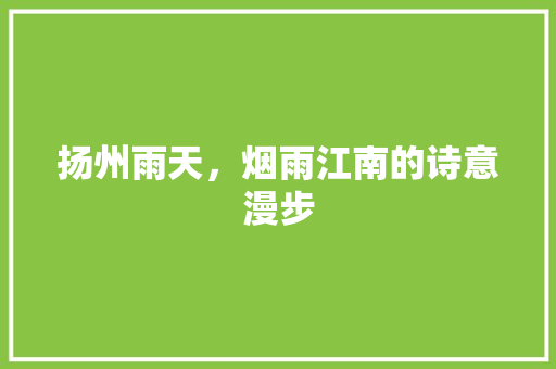 扬州雨天，烟雨江南的诗意漫步