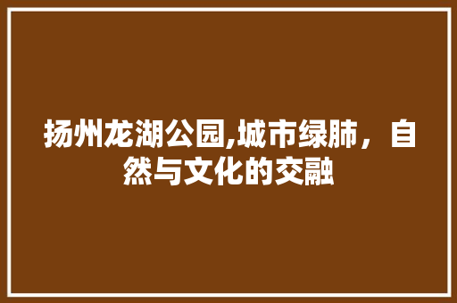 扬州龙湖公园,城市绿肺，自然与文化的交融  第1张