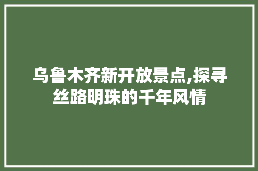 乌鲁木齐新开放景点,探寻丝路明珠的千年风情  第1张